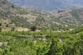 17 seyrane-juriinweb.jpg